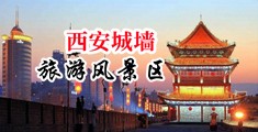 桃花操逼视频中国陕西-西安城墙旅游风景区