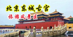 淫女操爽视频中国北京-东城古宫旅游风景区